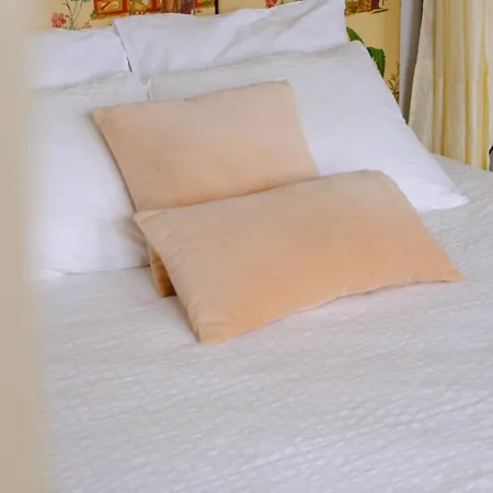 Luxury Suites Julio Dinis *